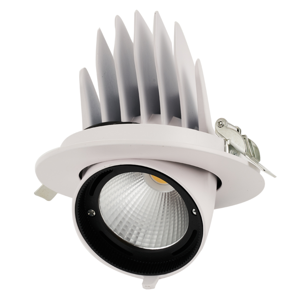 Светодиодный светильник PLED DL4 30W 4000K 24° поворот White IP40 Jazzway