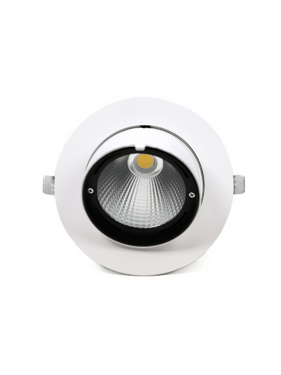 Светодиодный светильник PLED DL4 30W 4000K 24° поворот White IP40 Jazzway