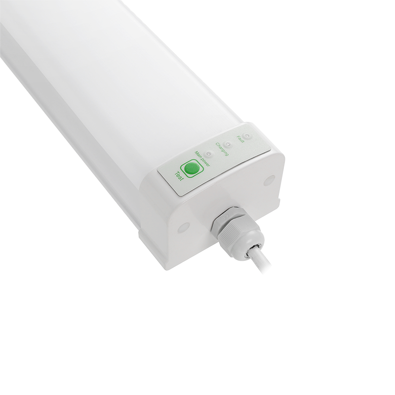 Светильник светодиодный PWP-C3-E1 600 18w 6500K с БАП IP65
