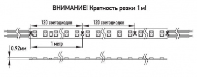 Неон PFN-01 2835/120 220V 6w/m 8*16mm Blue IP65 JazzWay, цена 269 руб. руб с доставкой по всей России, интернет магазин Led Portal