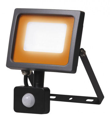 Светодиодный прожектор 30 вт,  Светодиодный прожектор PFL-SC-30w sensor 6500K IP54 Jazzway, цена 1181.43 руб с доставкой по всей России, интернет магазин Led Portal