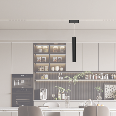 Низковольтный трековый светильник светодиодный MTR16 2408P-1m 8W 3000K 24° BL IP20 (чёрный) IP20 Jazzway  предназначен для общего и акцентного освещения административных, коммерческих и бытовых помещений (торговых и выставочных центров, автосалонов, ресто
