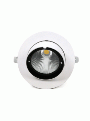 Светодиодный светильник PLED DL4 18W 4000K 24° поворот White IP40 Jazzway