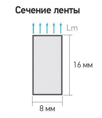 Неон PFN-01 2835/120 220V 6w/m 8*16mm 6500K IP65 JazzWay, цена 258 руб. руб с доставкой по всей России, интернет магазин Led Portal